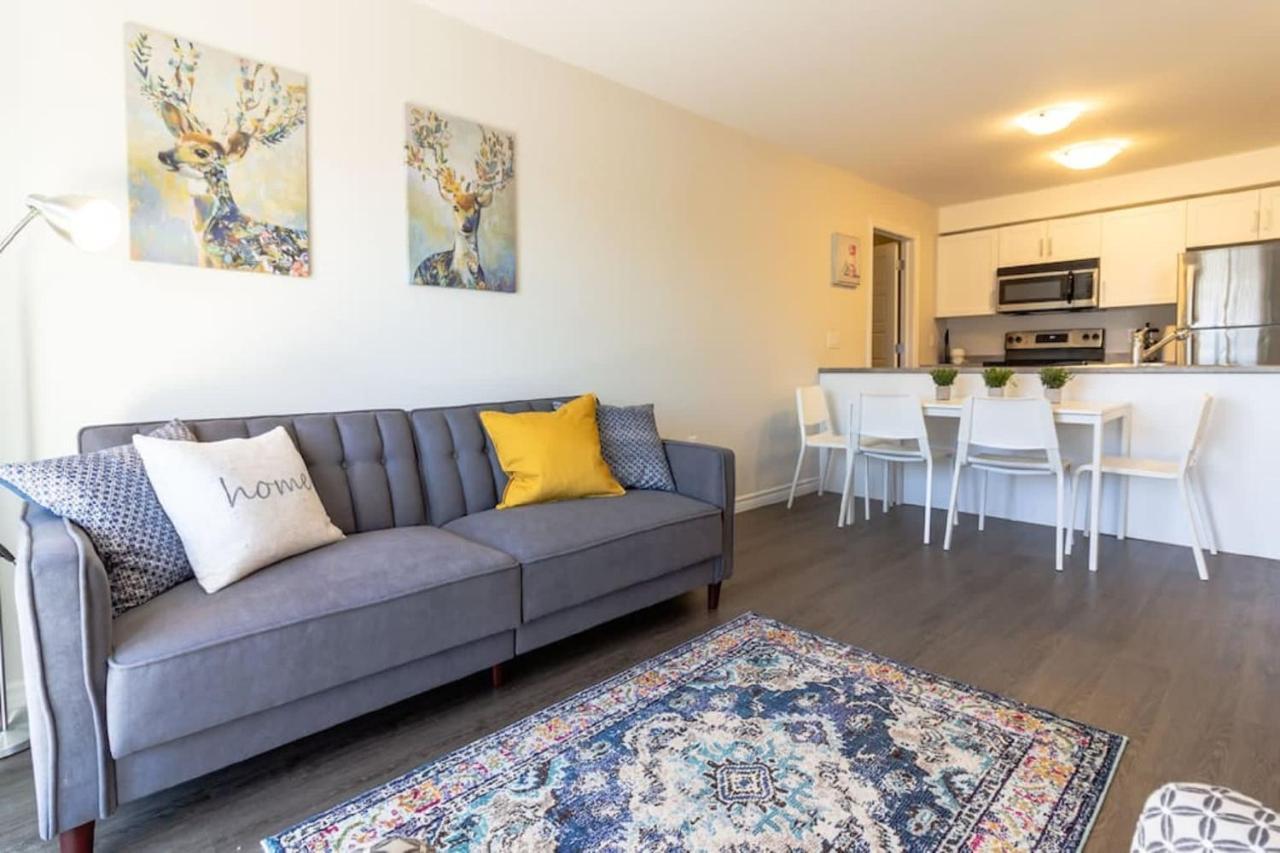 Newly Renovated Modern Condo Near Hospital, Unb Patio & Parking Coffee Saint John Exteriör bild