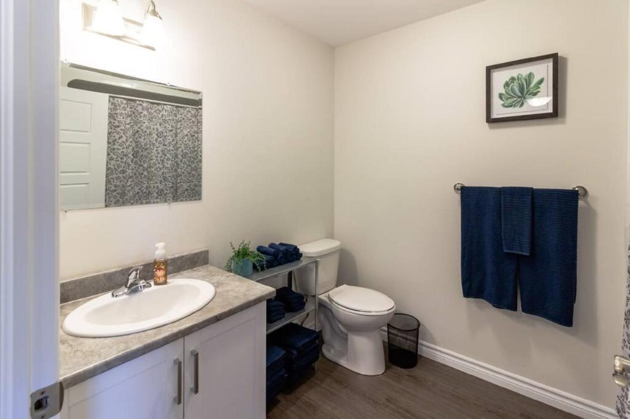 Newly Renovated Modern Condo Near Hospital, Unb Patio & Parking Coffee Saint John Exteriör bild