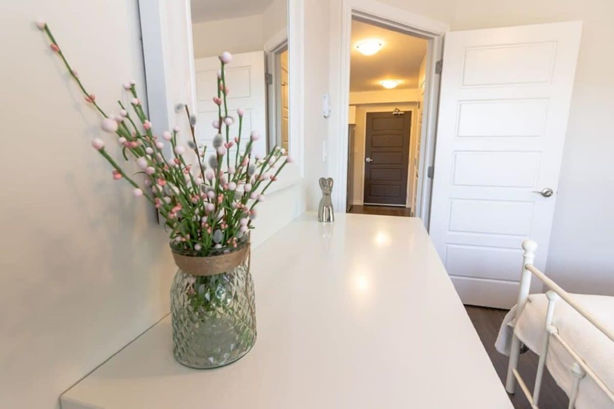 Newly Renovated Modern Condo Near Hospital, Unb Patio & Parking Coffee Saint John Exteriör bild